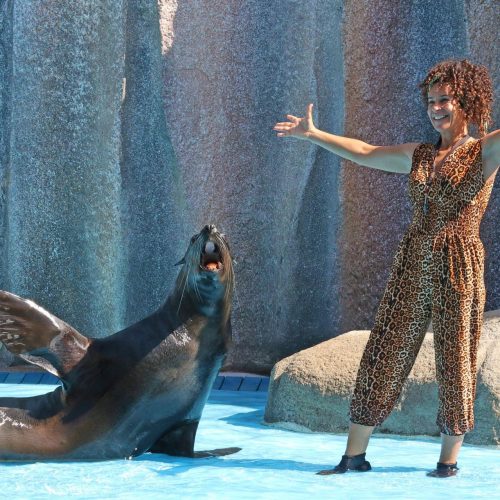 Foca Zoomarine Foca Zoomarine